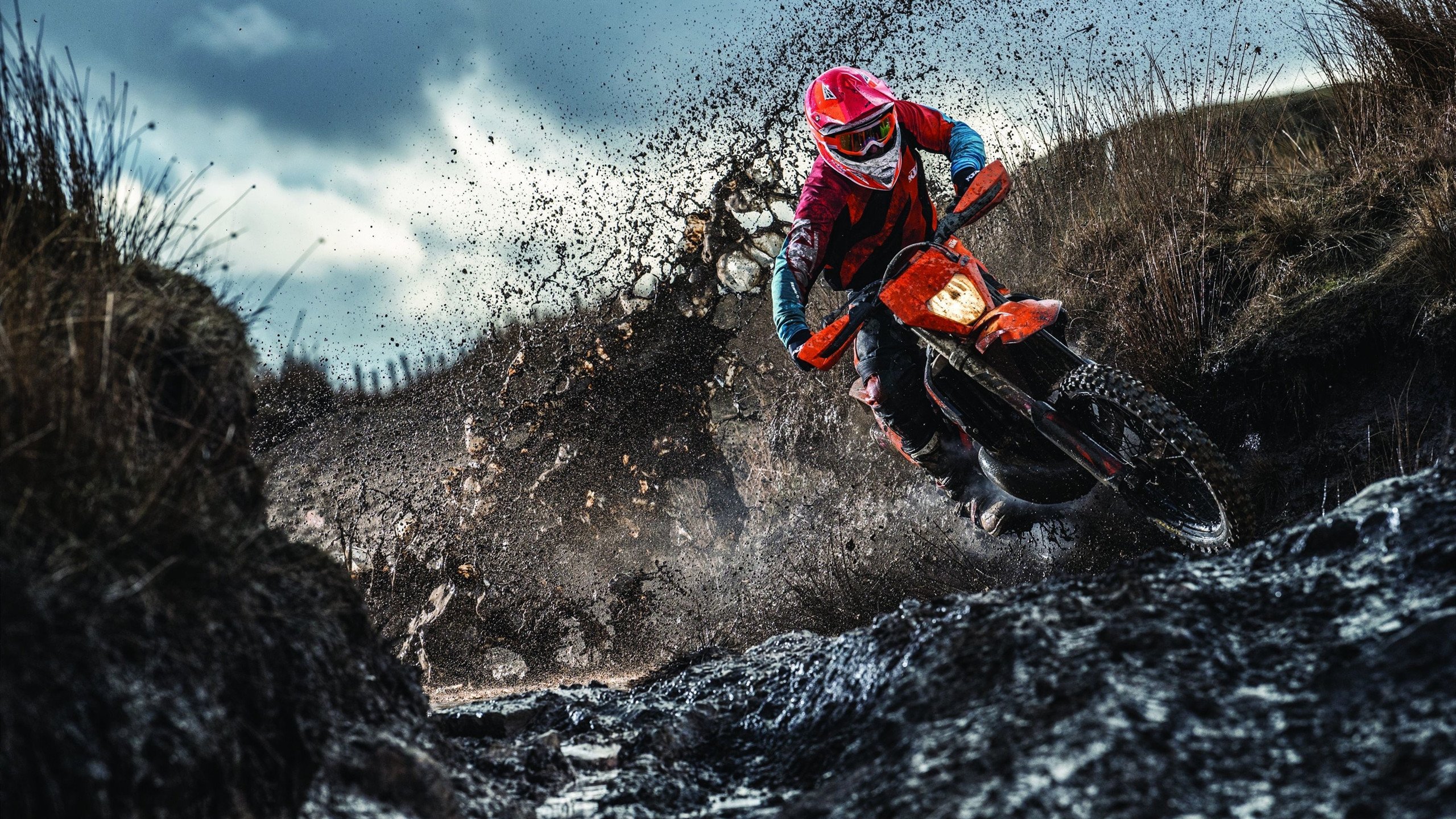 舞台越大越强！拉文末节狂飙率森林狼险胜黄蜂，证明巨星本色